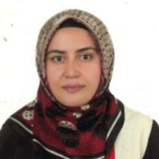 Hatice İNANKIL