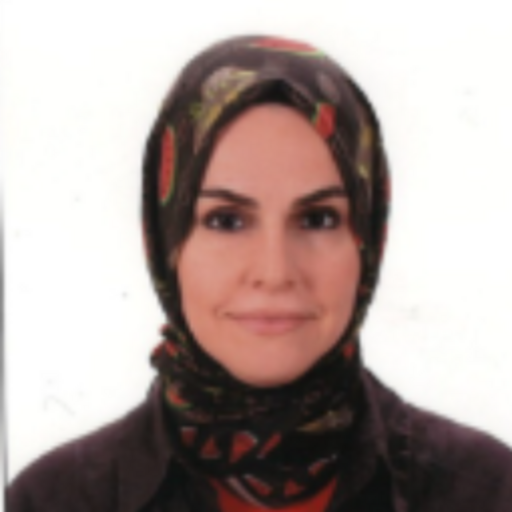 Hafsa TOSUN HAFIZ
