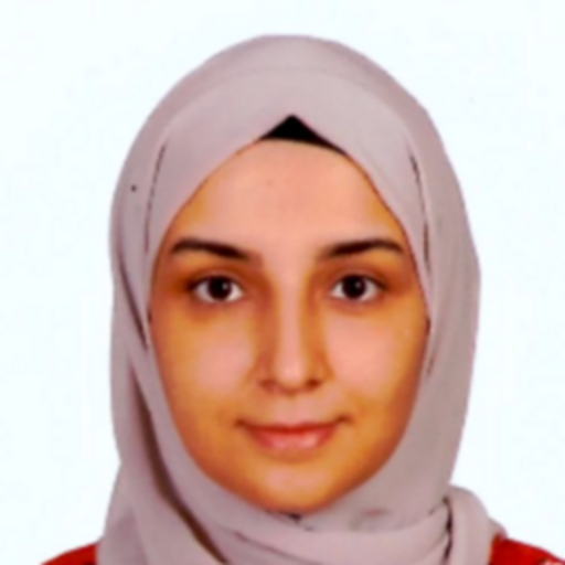 Sina Güzin CENGİZ