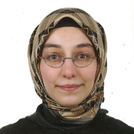 Merve BENGÜ DEMİRKIRAN